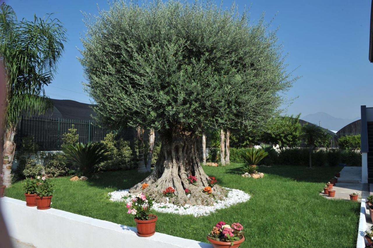 B&B Cascina Fiorita Santa Maria La Carita Luaran gambar